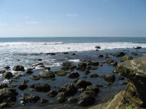 Tidepools, Cabrillo National Monument, San Diego, Kalifornien