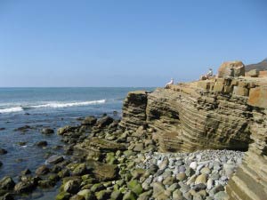 Tidepools, Cabrillo National Monument, San Diego, Kalifornien