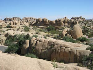 Jumbo Rocks Campground, Joshua Tree Nationalpark, Kalifornien