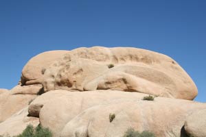 Jumbo Rocks Campground, Joshua Tree Nationalpark, Kalifornien