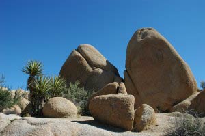 Parkeingang, Joshua Tree Nationalpark, Kalifornien