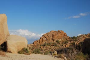 Belle Campground, Joshua Tree Nationalpark, Kalifornien