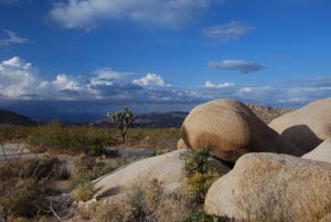 Belle Campground, Joshua Tree Nationalpark, Kalifornien