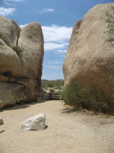 Belle Campground, Joshua Tree Nationalpark, Kalifornien