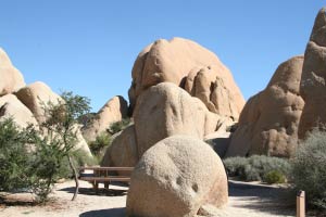 Jumbo_Rocks Campground, Joshua Tree Nationalpark, Kalifornien