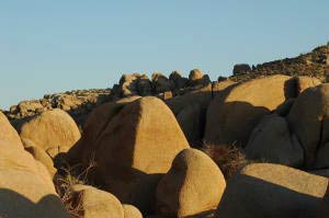 White Tank Campground, Joshua Tree Nationalpark, Kalifornien