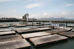 Seelwen, Pier 39, Fishermans Wharf, San Francisco, Kalifornien