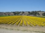 Highway 246, Solvang, Kalifornien