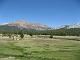 Tioga Pass