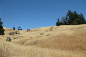 Mount Tamalpais, Bay Area, Kalifornien