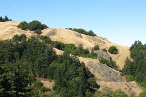 Mount Tamalpais, Bay Area, Kalifornien