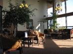 Best Western Shore Cliff Lodge, Pismo Beach, Kalifornien