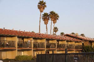 Best Western Shore Cliff Lodge, Pismo Beach, Kalifornien