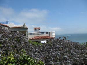 Telegraph Hill, San Francisco, Kalifornien