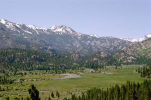 Leavitt Meadow, Sonora Pass, Kalifornien