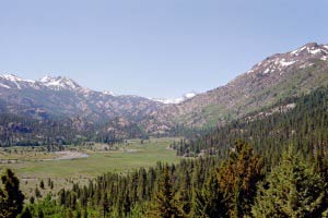 Leavitt Meadow, Sonora Pass, Kalifornien