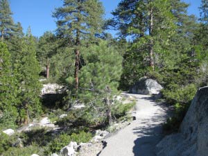 Donnell Vista Point, Sonora Pass, Kalifornien