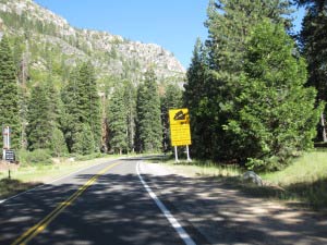 Sonora Pass, Kalifornien