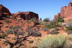 Park Avenue, Arches, Utah