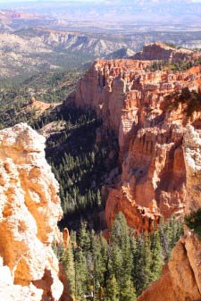The Poodle, Rainbow Point, Bryce Canyon, Utah
