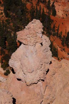 The Poodle, Rainbow Point, Bryce Canyon, Utah