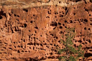 Capitol Gorge, Capitol Reef, Utah