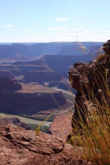 Colorado Schleife, Dead Horse Point State Park, Utah