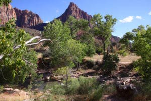 Pa'rus Trail, Watchman, Zion, Utah