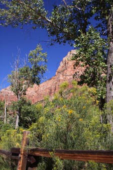 Pa'rus Trail, Zion, Utah