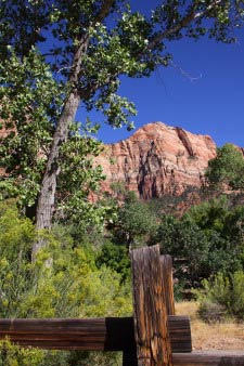 Pa'rus Trail, Zion, Utah