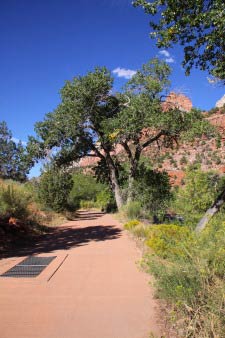 Pa'rus Trail, Zion, Utah