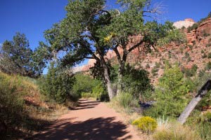 Pa'rus Trail, Zion, Utah