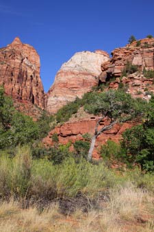 Pa'rus Trail, Zion, Utah