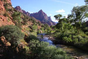 Pa'rus Trail, Zion, Utah