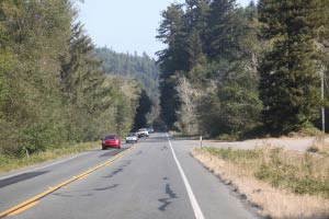 Redwood NP, Highway 1 North, Kalifornien