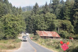 Elk Meadow, Redwood NP, Kalifornien