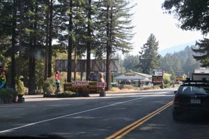 Grandfather Tree, Highway 101 South, Kalifornien