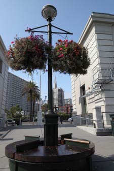 Embarcadero, Transamerica Pyramid, San Francisco, Kalifornien