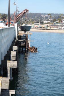 Beach Boardwalk, Santa Cruz, Kalifornien