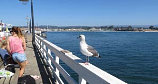 Municipal Wharf, Santa Cruz, Kalifornien
