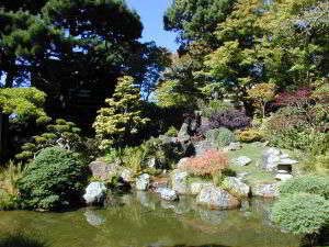 Japanese Tea Garden, Golden Gate Park, San Francisco, Kalifornien