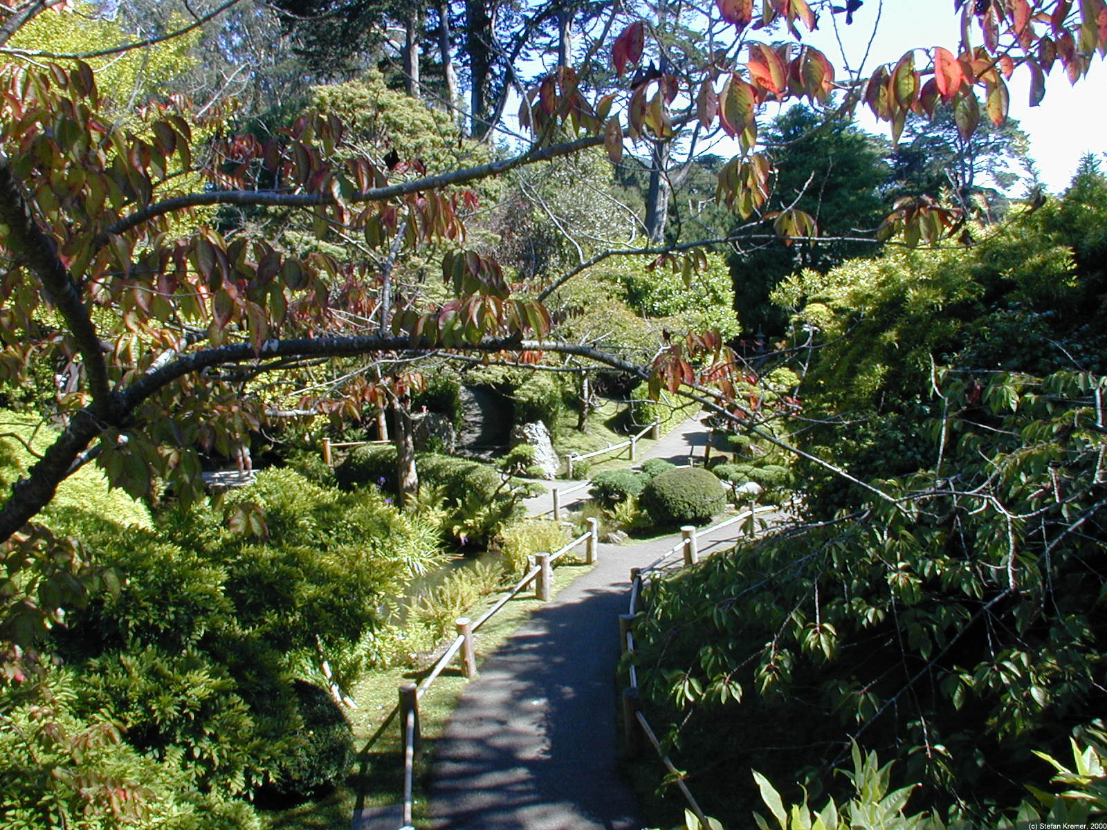 Japanese Tea Garden Japanischer Garten Im Golden Gate Park