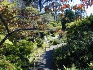 Japanese Tea Garden, Golden Gate Park, San Francisco, Kalifornien