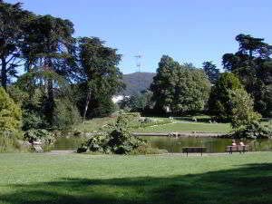 Botanischer Garten, Golden Gate Park, San Francisco, Kalifornien