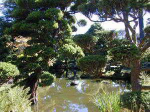 Japanese Tea Garden, Golden Gate Park, San Francisco, Kalifornien