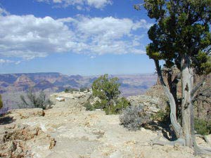 Moran Point, Grand Canyon, Arizona