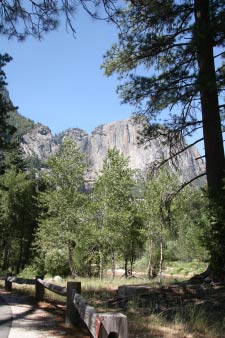 Leidig Meadow, Yosemite, Kalifornien