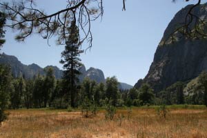 Leidig Meadow, Yosemite, Kalifornien
