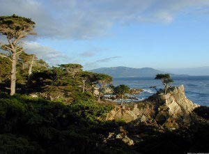 Lone Cypress, 17-Mile Drive, Monterey, Kalifornien