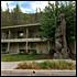 Cedar Lodge
